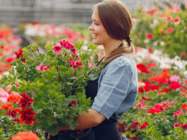 Guía de plantación de primavera: Qué especies elegir en el vivero y cómo plantarlas con éxito Guía de plantación de primavera: Qué especies elegir en el vivero y cómo plantarlas con éxito