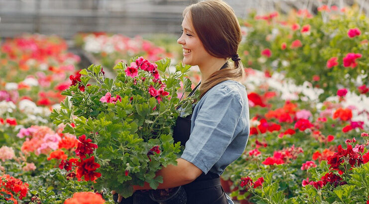 Guía de plantación de primavera: Qué especies elegir en el vivero y cómo plantarlas con éxito